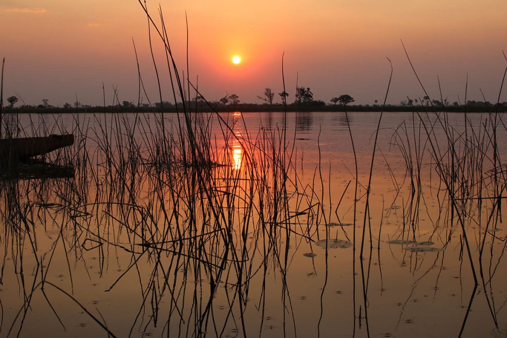 オカバンゴに沈む夕日