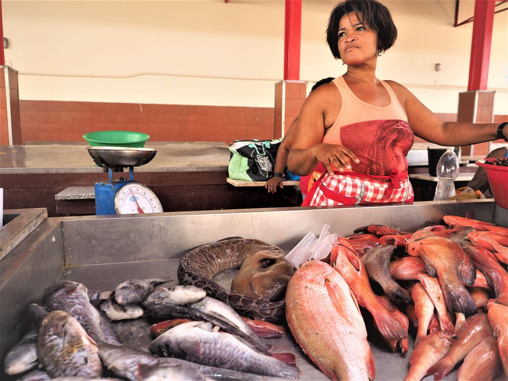 活気に満ちたミンデロの魚市場