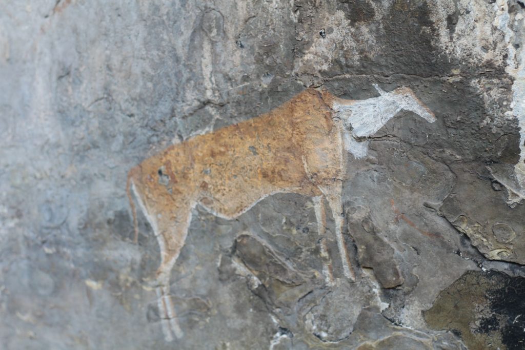 ドラケンスバーグ山脈には1000年以上前に描かれたサンの人達の岩絵が数多く残ります