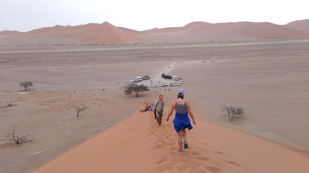 世界最古の砂漠ナミブ砂漠の砂丘