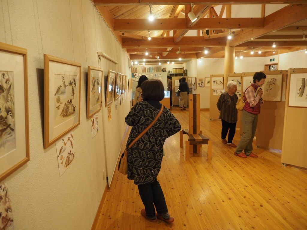 明るい館内には薮内さんが描いた鳥や動物の絵が展示されています。