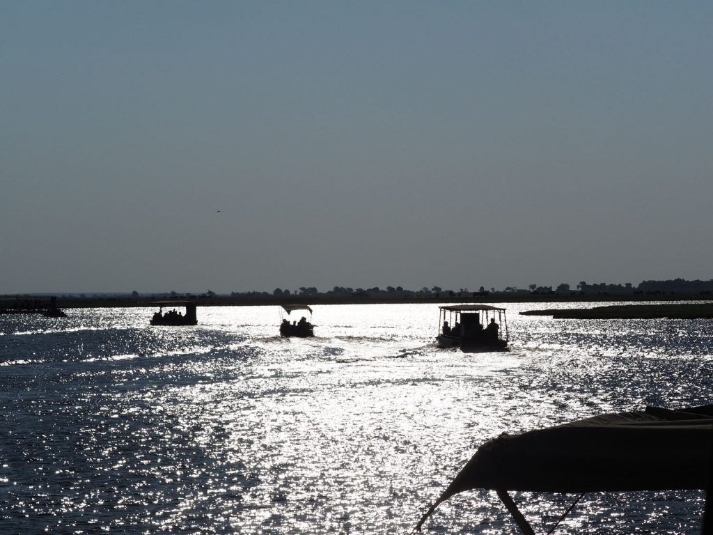 チョベ川ではのんびりとボートクルーズ