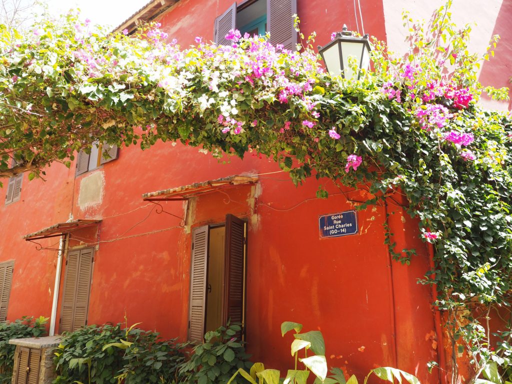 ゴレ島には、色鮮やかなブーゲンビリアが咲き誇っていました。