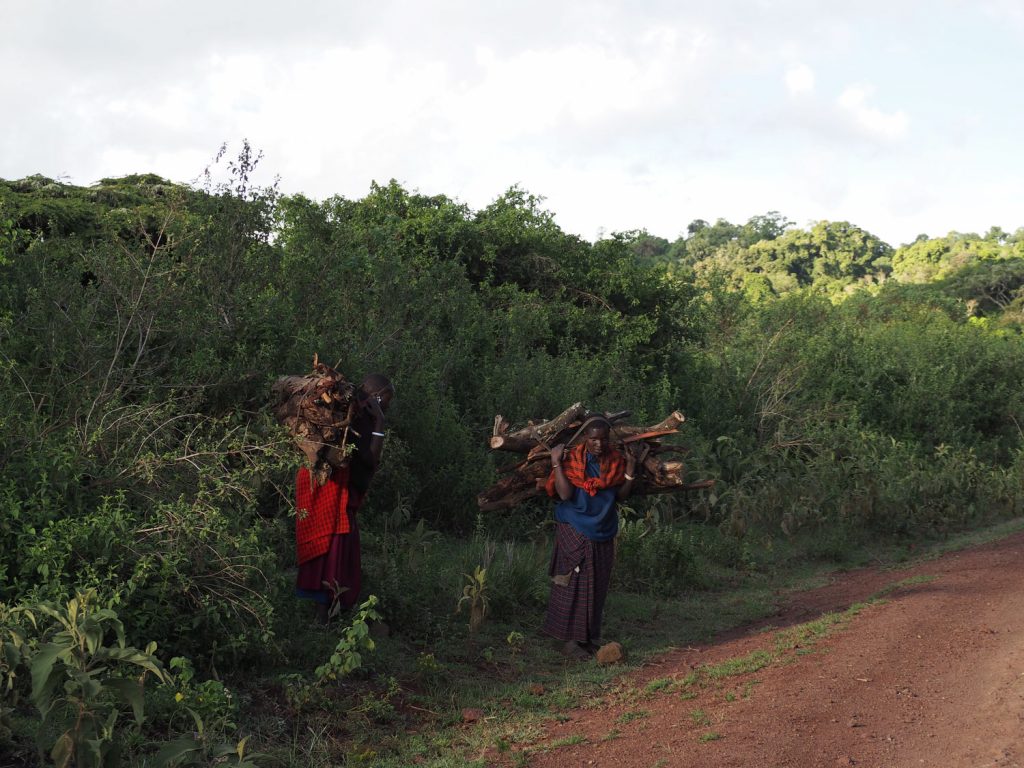 マサイの人々の大切な燃料・牧を運ぶ女性たち。