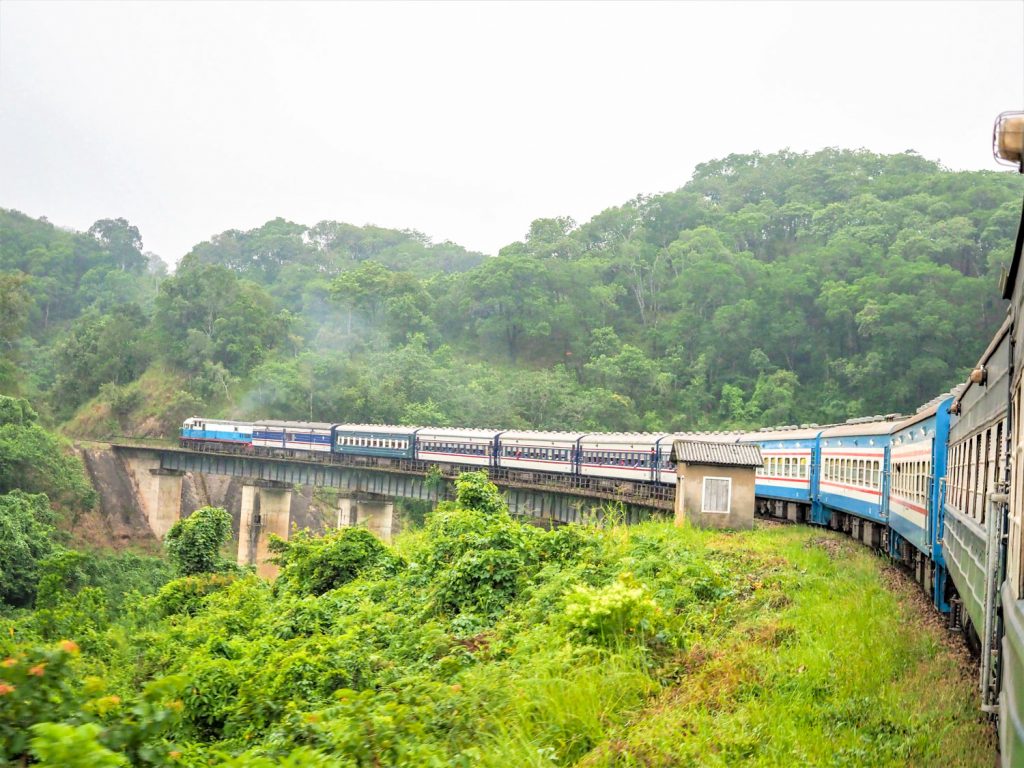 列車は、セルー野生動物保護区の中を走り抜けていきます。