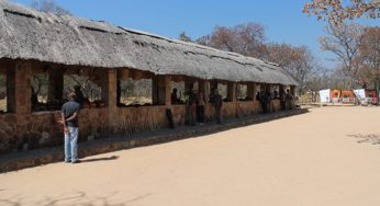 お土産が安い国 「ジンバブエ」