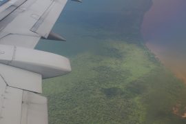 飛行機の窓から見下ろすカリマンタン島南部の森