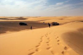 多くはありませんが、砂丘地帯も通過します。砂丘も風で移動しているため、ドライバーさんもルートを探りつつ車を進めていきます。砂が軟らかい箇所では度々スタック。