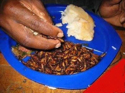 ケニアの珍味「クンビクンビ」