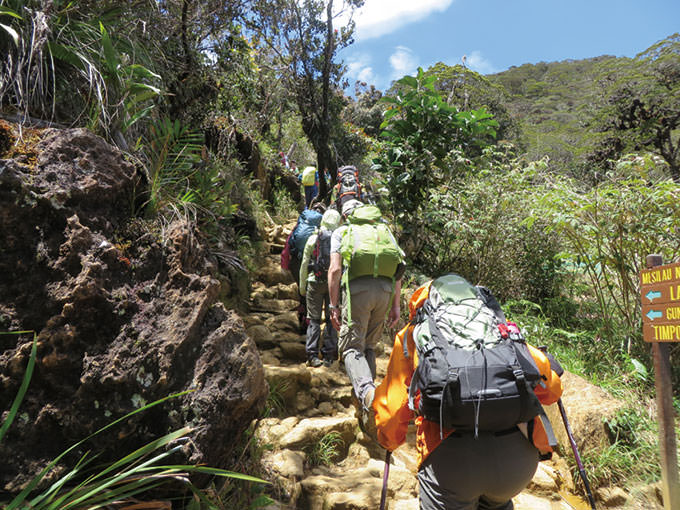 初心者がゼロから始める登山 キリマンジャロへの道 Lesson 9　海外遠征 キナバル山登山報告