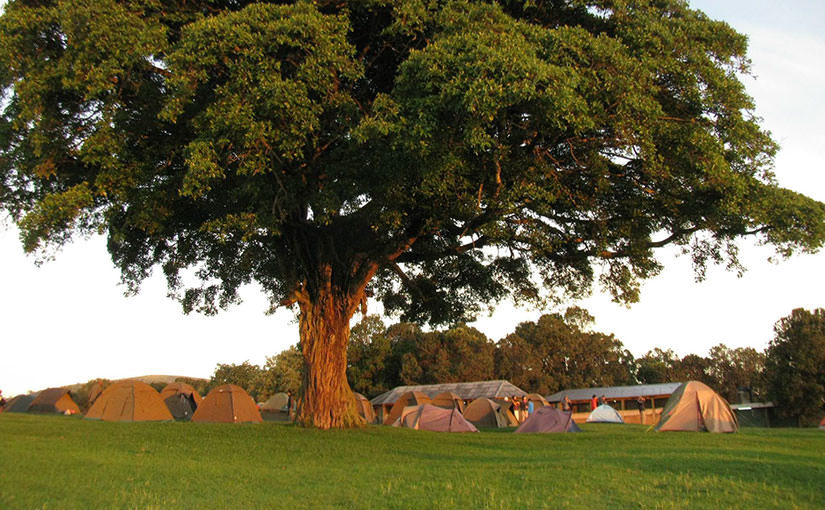ンゴロンゴロ自然保護区のキャンプ場