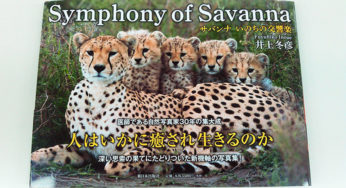 Symphony of Savanna－サバンナ いのちの交響曲