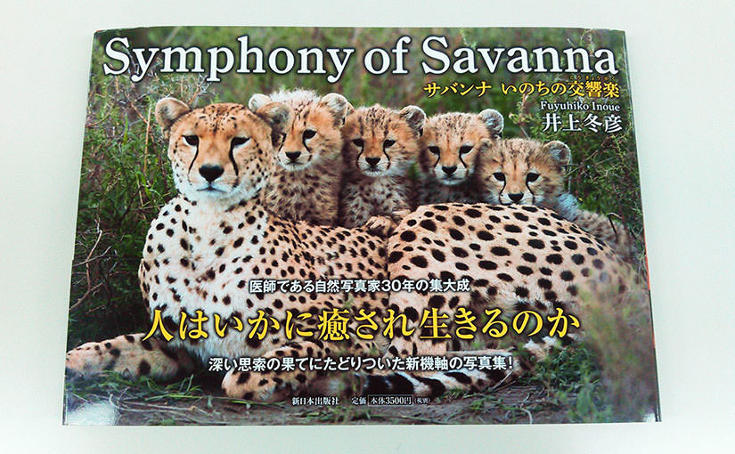 Symphony of Savanna－サバンナ いのちの交響曲