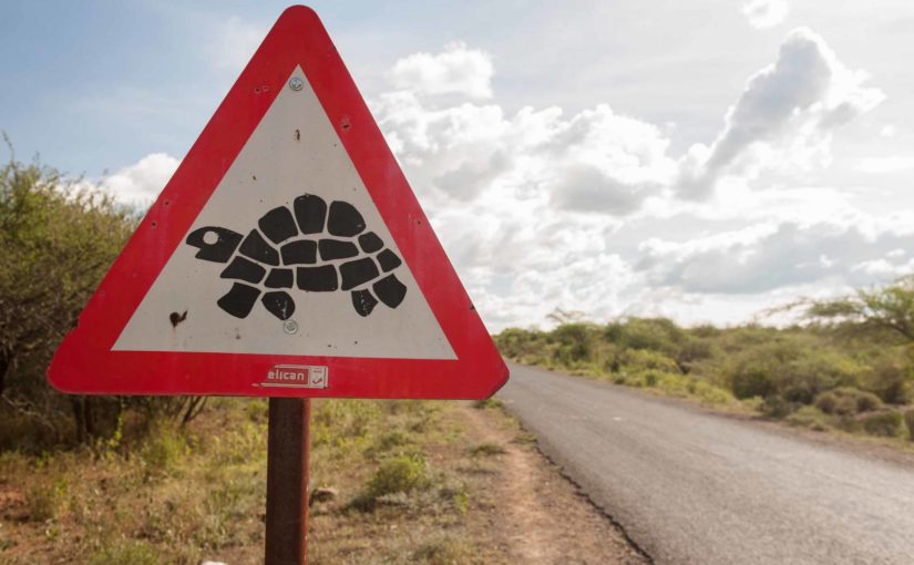 アフリカの道路標識