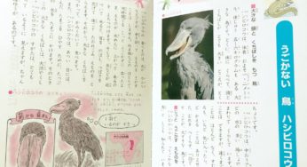 ジャポニカ学習帳