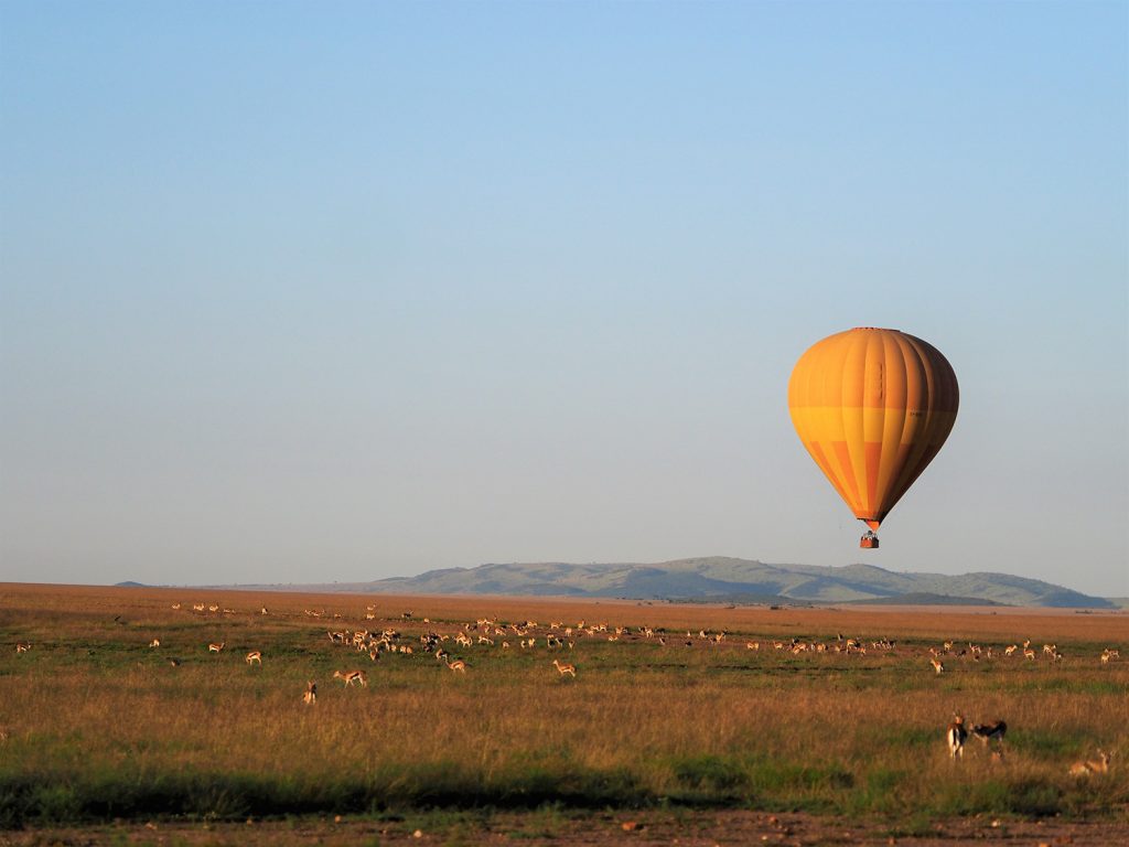 マサイ・マラと言えばやっぱり名物の気球サファリ！いいお値段はしますが、サバンナを空から眺めるなんて一生ものの体験です。