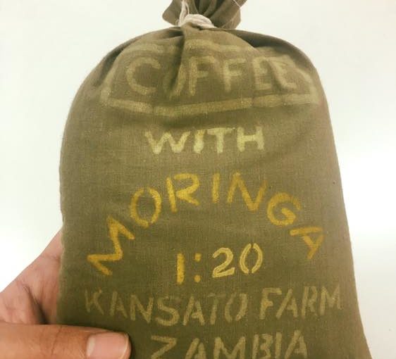 モリンガコーヒー from ザンビア