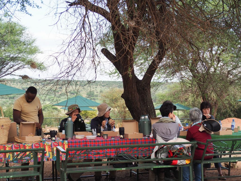 早起きして、公園で朝食。ガイドのユスフがタンザニアの歴史、アフリカの民俗について朝のレクチャーをしてくれました！