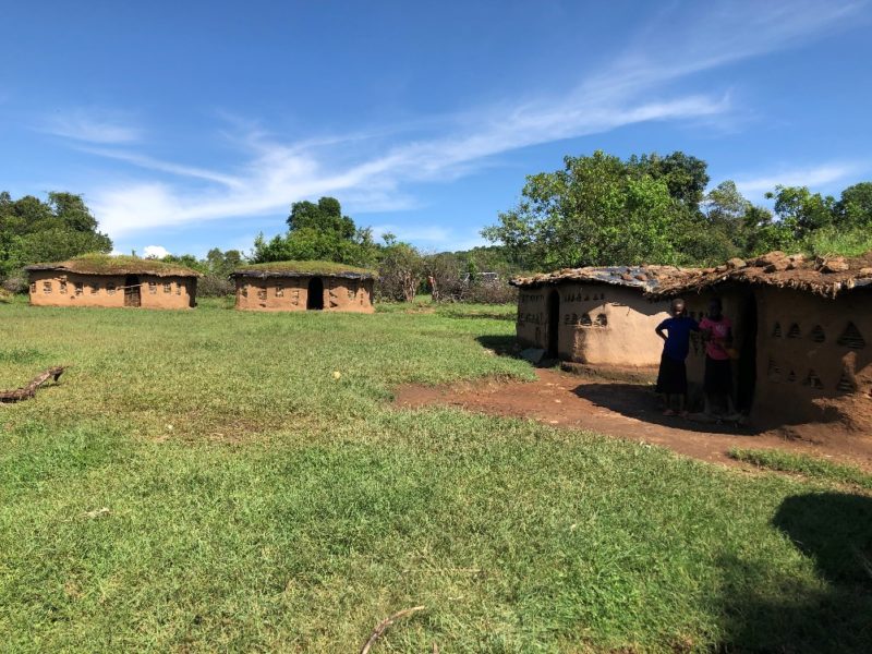 マサイの村に到着。この日は牛糞と土や藁でできた家に宿泊します。