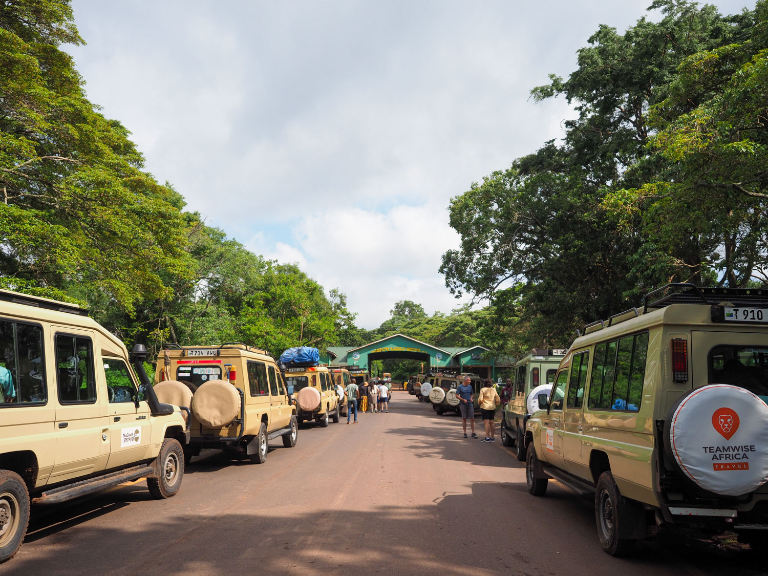 ンゴロンゴロの公園入口には50台以上のサファリカーが連なっていました。クリスマス休暇でたくさんの観光客が訪れています。