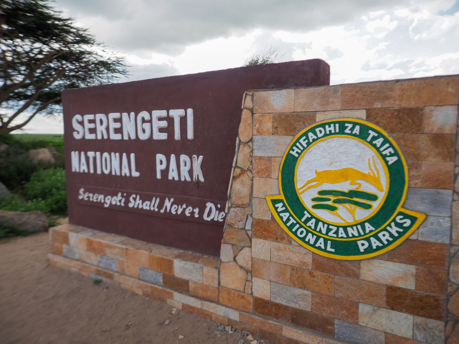 走りに走って、ようやくセレンゲティに到着。Serengeti shall never die, 『セレンゲティは滅びず』です。