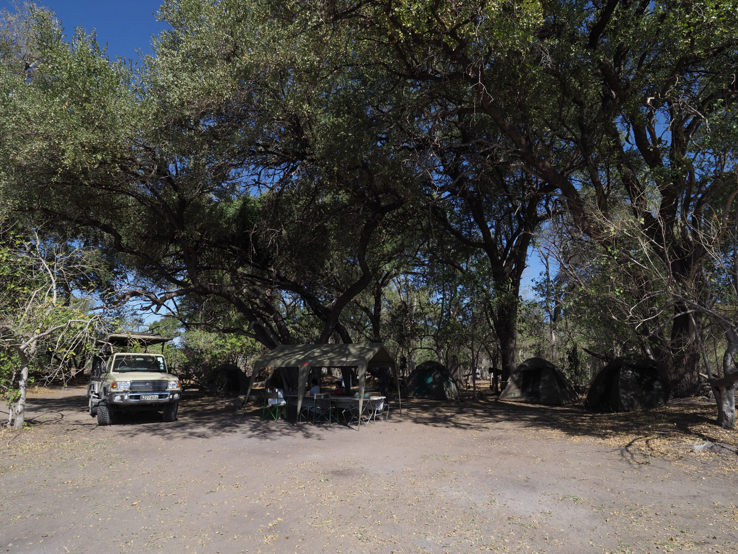 モレミのキャンプ。隣のサイトとはかなり離れており、自然の中でのプライベート感が味わえます