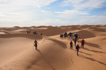 「2020.2.7発 チュニジア ラクダと歩く砂漠旅 10日間」の写真