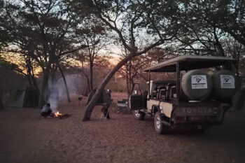 「2022.07.21発 ボツワナ・キャンプ オカバンゴからチョベへ 12日間」の写真