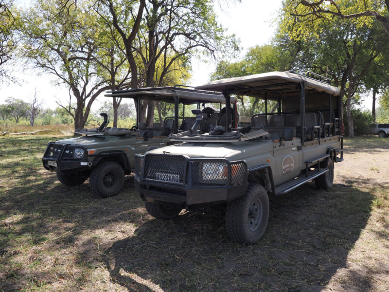 チョベから一気にオカバンゴデルタの南のマウンまで走った後は、車をサファリカーに乗り換えてモレミ動物保護区でサファリ。