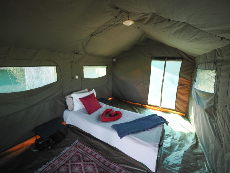 テント内にはベッドも入れてあり、快適。