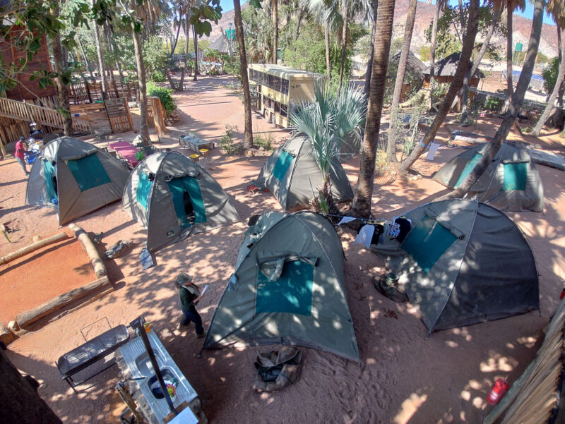 ヤシの木々の間のスペースを使ってテント設営