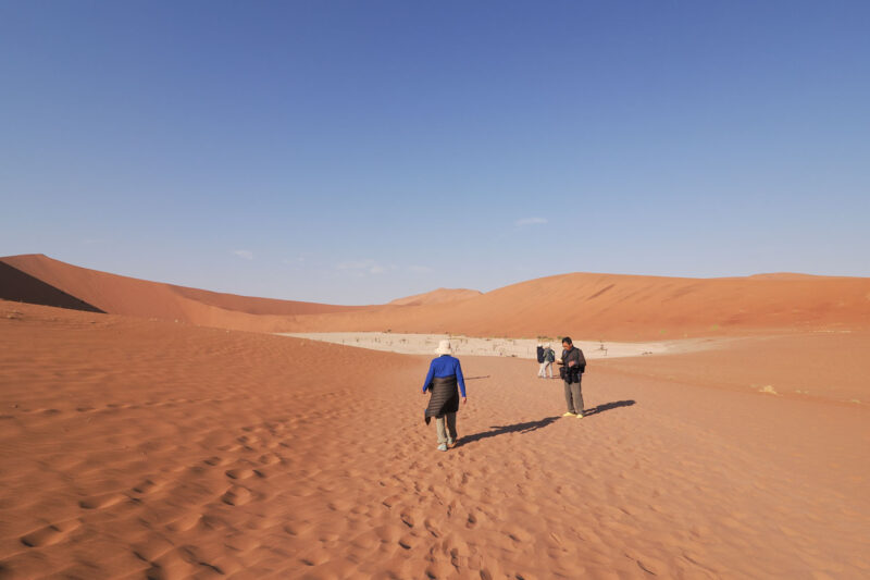 砂丘を片道20分程度歩いて、ナミブ砂漠の見どころの一つデッドフライへ。