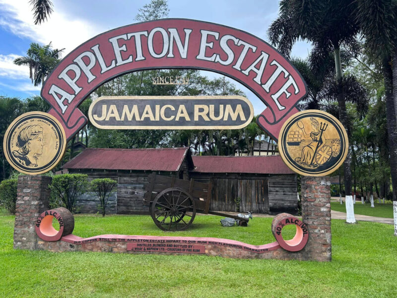 次の訪問は1749年にラム酒づくりを始めた、ジャマイカで最も資本力のあるアップルトン蒸留所。