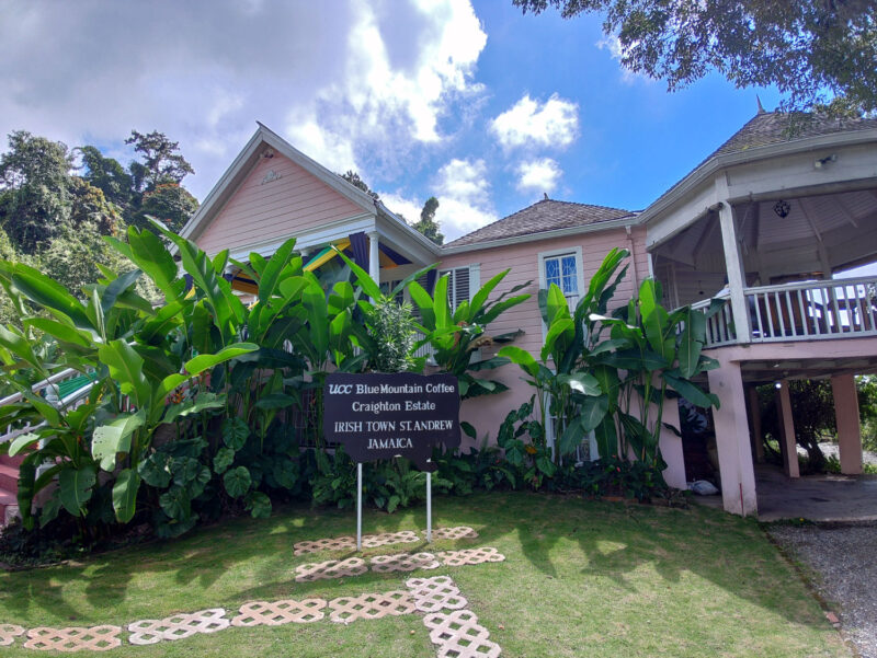 UCC上島珈琲の『UCCブルーマウンテンコーヒー・クレイトンエステート』、農園開設は1981年。ジャマイカ総督となったイギリスのクレイトン卿が1805年に別邸として建てた豪邸を買い取り事務所としています。建物自体もジャマイカの重要文化財です。