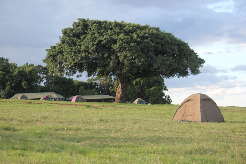 ンゴロンゴロのキャンプサイト