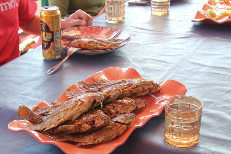 獲れたての魚を召し上がれ