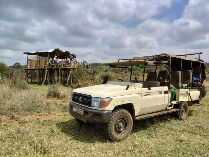 サファリはオープンカー、ドライバーを兼任するガイドと運転席の屋根上に座って動物を探すスポッターのコンビでゲームドライブを主導します