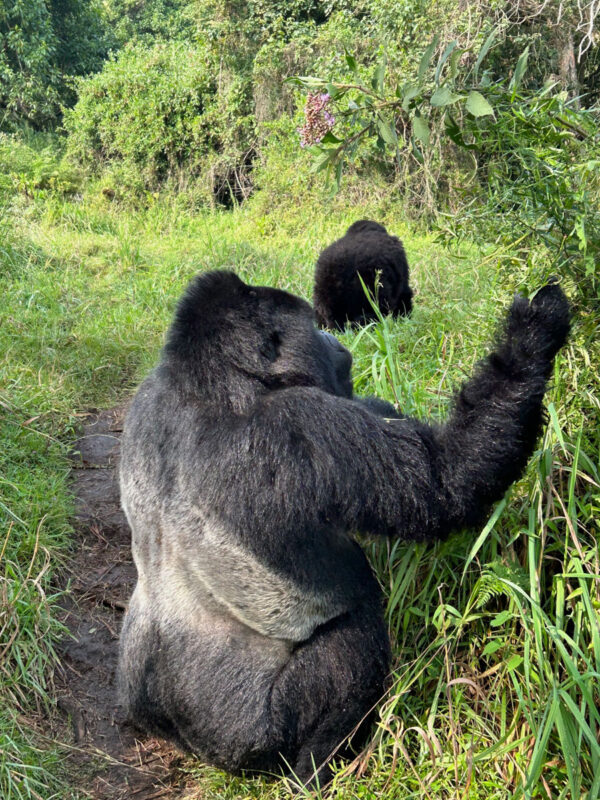 目の前に座って食事をしながらオナラも