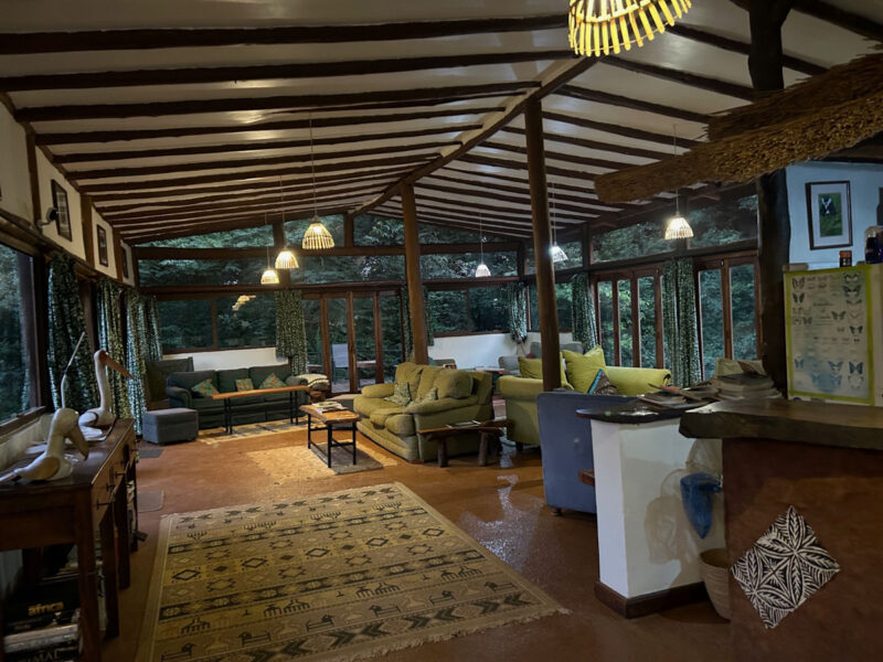 素敵なNkima Forest Lodge