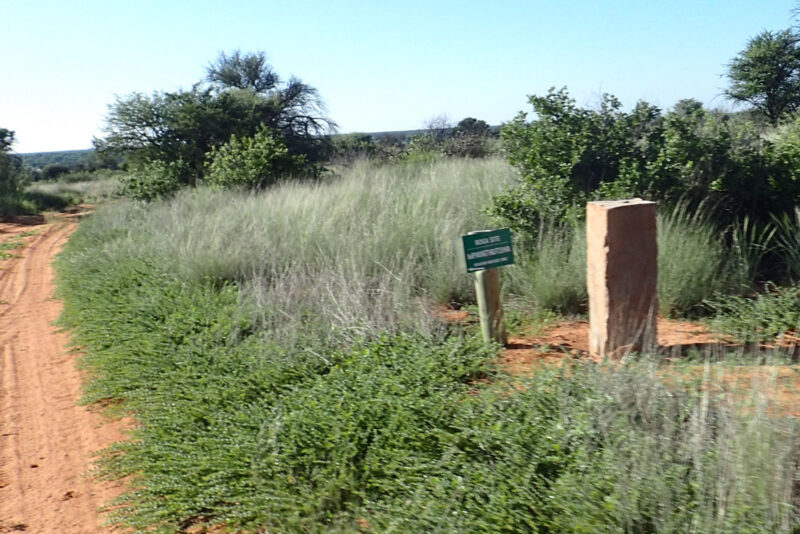 新しくできたBOGAのサイトへの標識