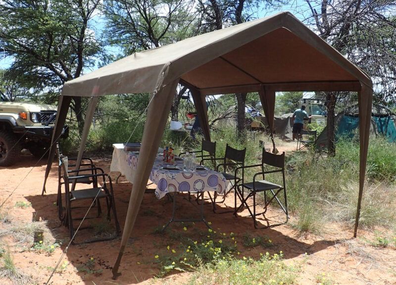 ここからキャンプが始まりました