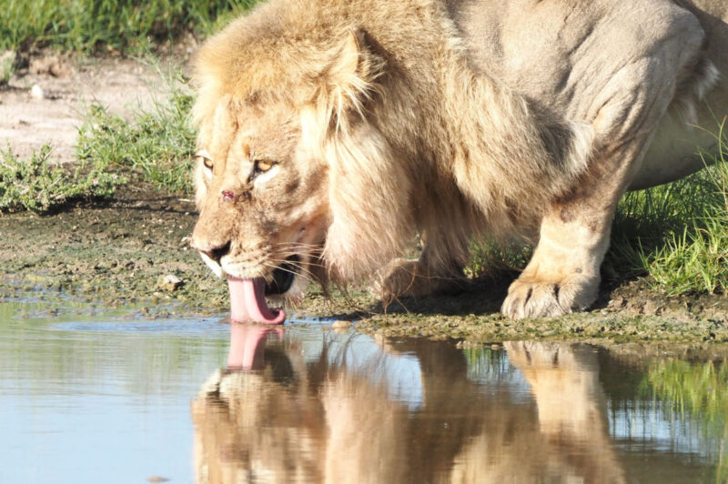 時間をかけて水を飲んでいました2