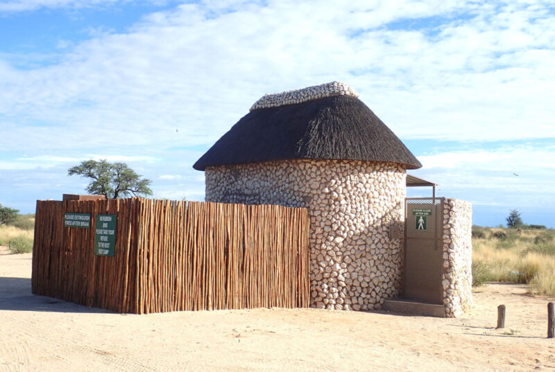 ピクニックサイト