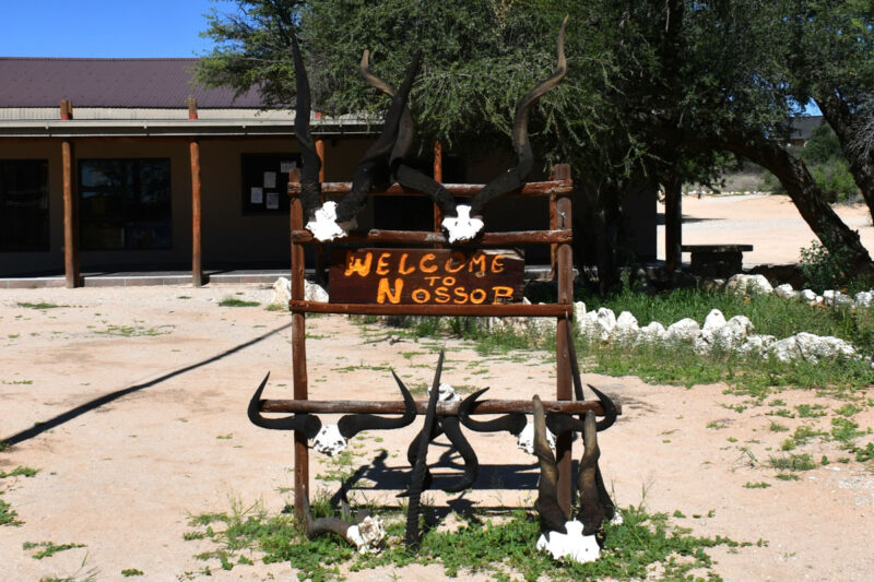 ノソッブ・キャンプ