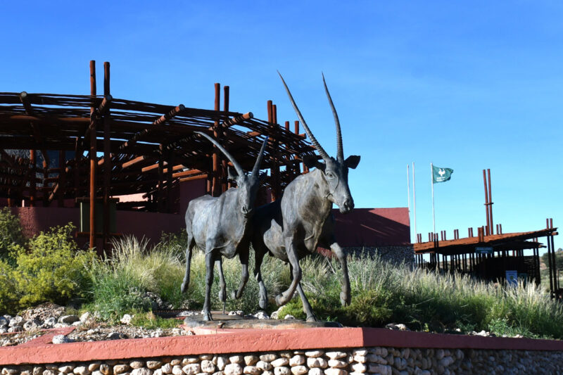このゲムズボックの像を見ると旅も終わります