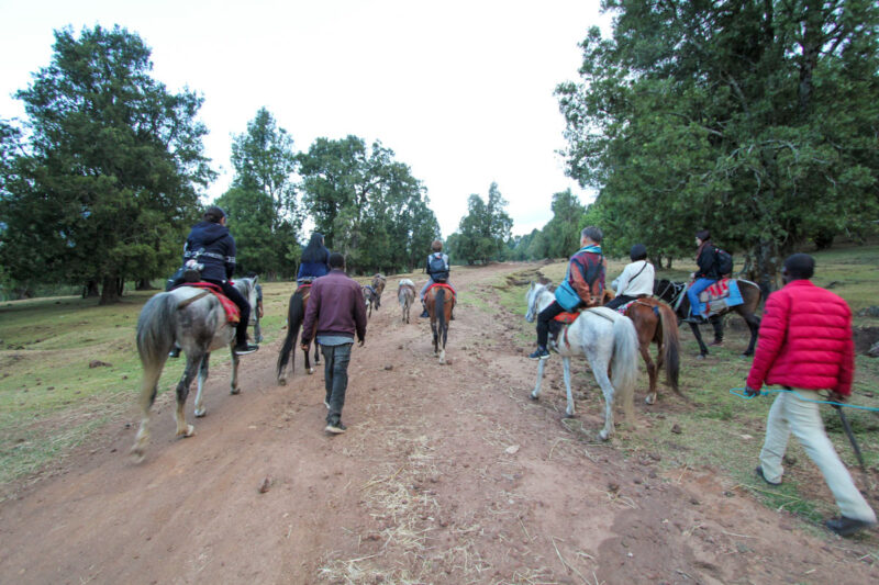 いよいよ、ホース・トレッキングに出発です