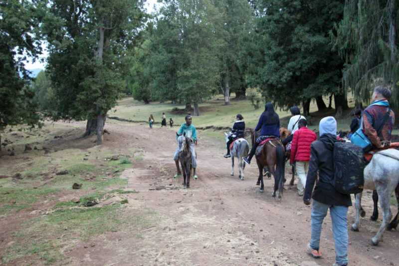 すれ違う地元の若者とご挨拶。巧みに馬を操っています