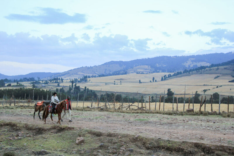 夕暮れ時、辺りは静けさを増していきます