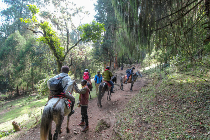 ホース・トレッキングに出発です