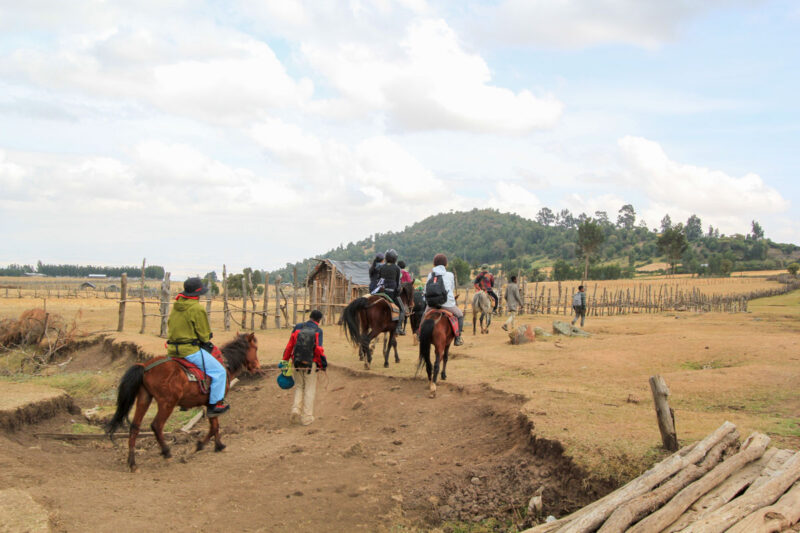 乗馬経験者の方はご自身で、未経験の方は引き馬で進んでいきます